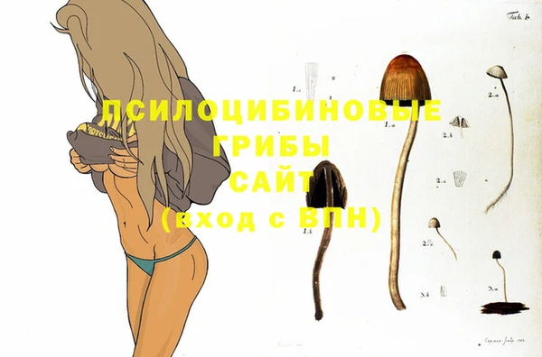 MDMA Premium VHQ Алексеевка