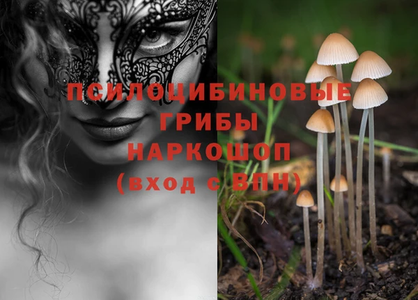метадон Алексин