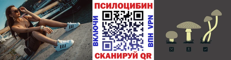 blacksprut маркетплейс  Мичуринск  Псилоцибиновые грибы ЛСД  купить  сайты 